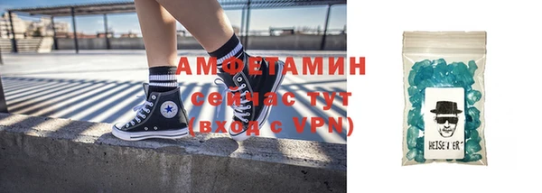 шишки Белокуриха