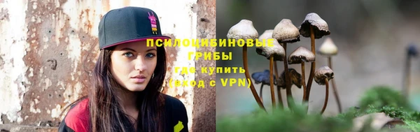 индика Балахна