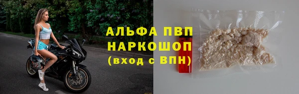 шишки Белокуриха