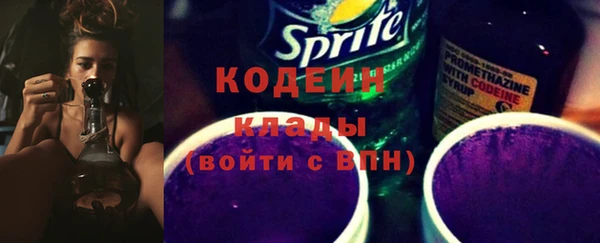 индика Балахна