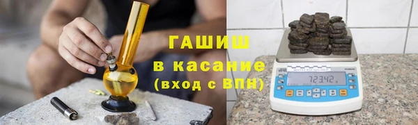 шишки Белокуриха