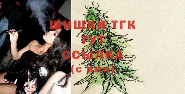 индика Балахна