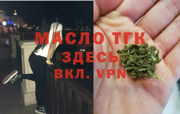 шишки Белокуриха