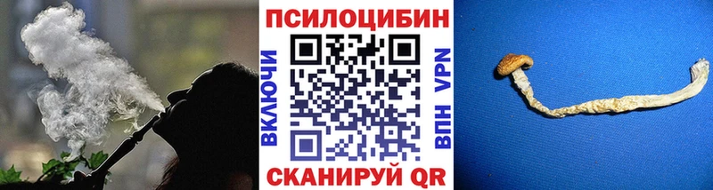 Галлюциногенные грибы Psilocybine cubensis Высоковск